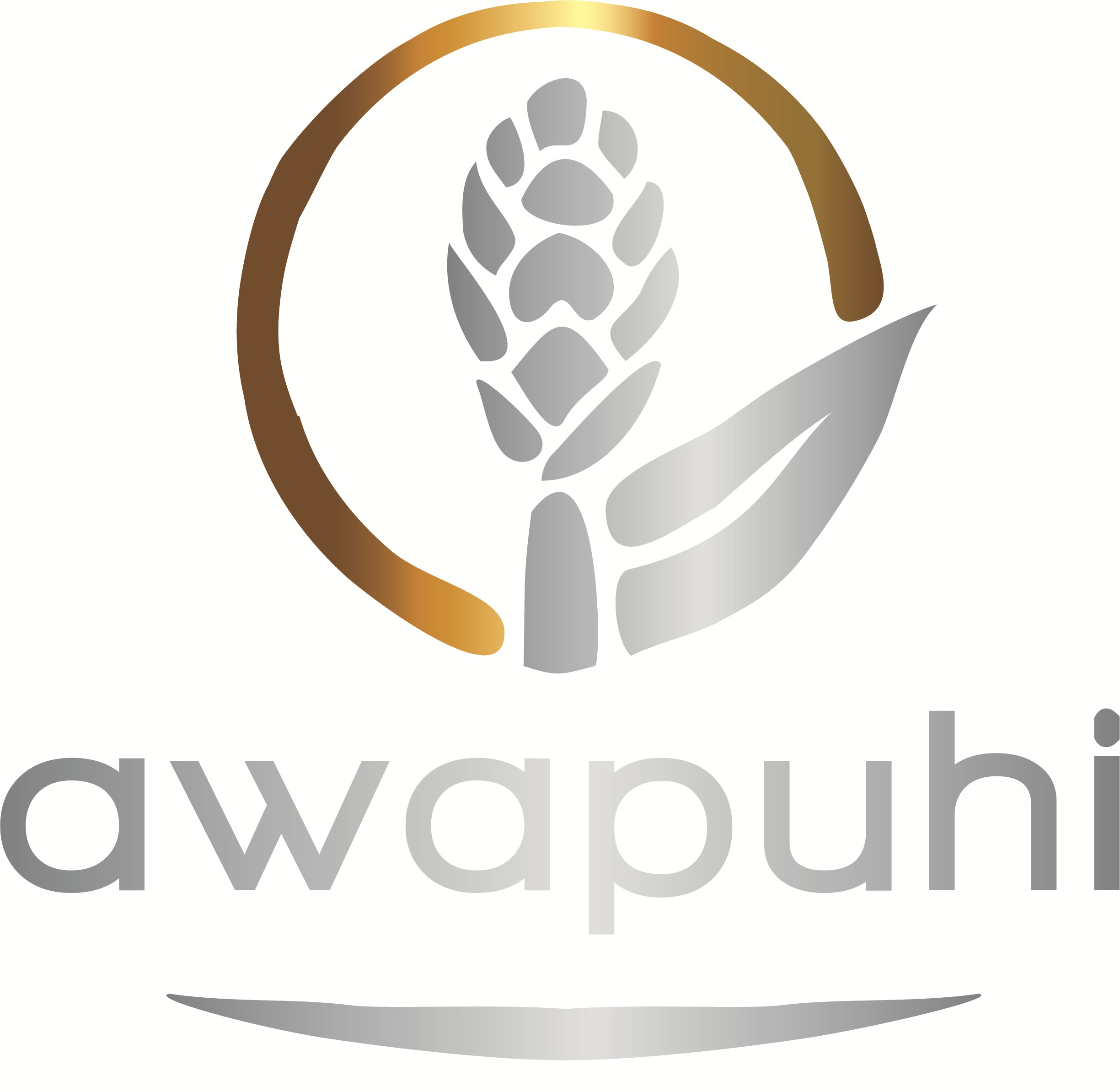 Awapuhi vlasová kosmetika v MINT Salonu Brno